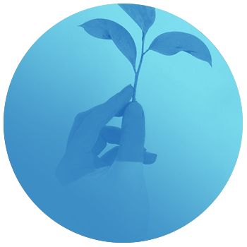 Greenwashing y verificación
