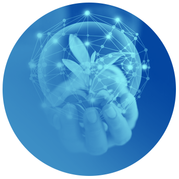 Economía y medio ambiente